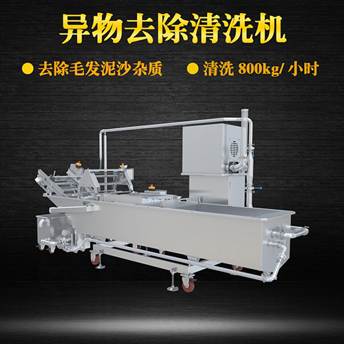 果蔬專用清洗機(jī)，氣泡清洗，清洗800kg小時(shí)