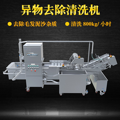 蔬菜清洗設(shè)備，氣泡清洗，清洗800kg小時(shí)