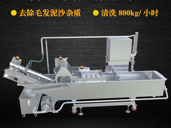 蔬菜清洗機(jī)，氣泡清洗，清洗800kg/小時(shí)