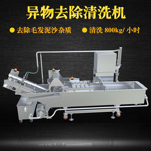 蔬菜清洗機(jī)，氣泡清洗，清洗800kg小時